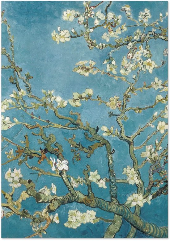 Amandier en fleur de Vincent van Gogh avec des branches en fleurs blanches sur fond bleu.