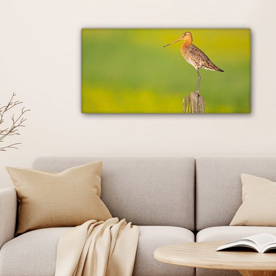Toile - Tableau - Vogel - Animaux - Barge à queue noire - Perche - Vert - Peintures sur toile - Photo sur toile - 80x40 cm - Décoration murale - Salon