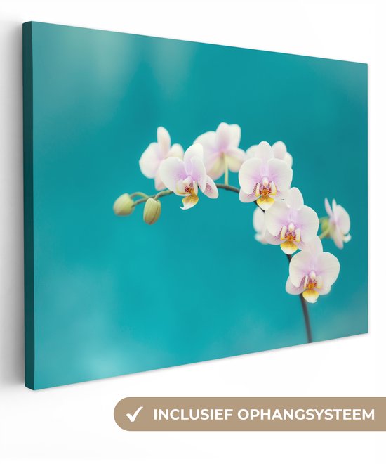Tableau sur toile Orchidées Witte sur fond bleu - 120x90 cm - Décoration murale