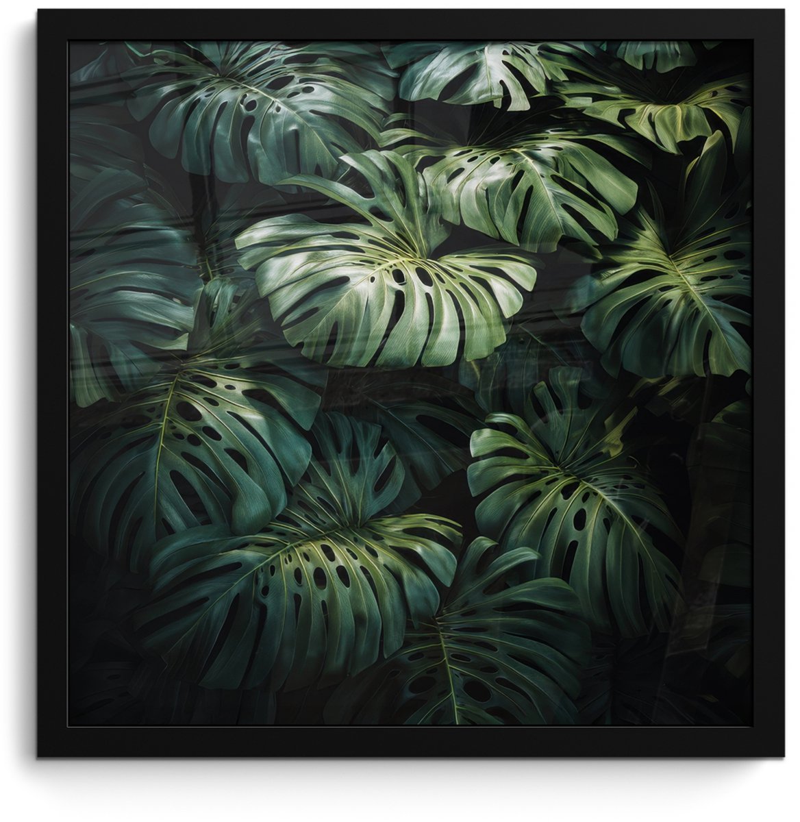 FrameYourWall Poster in lijst - Fotolijst 40x40 cm - Posters - Plant - Monstera - Lichtinval - Posterlijst zwart - Decoratie - Wanddecoratie woonkamer - Muurdecoratie slaapkamer Bladeren - Glad
