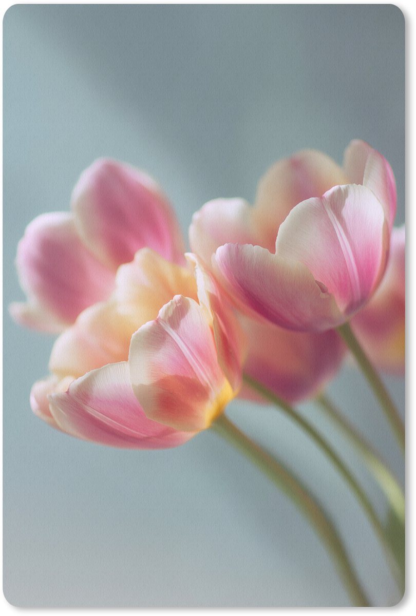 Muismat 18x27 cm - Mousepad Tulpen - Roze - Stelen - Muismatten