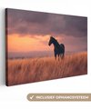 Cheval - Nuages ​​- Champ ouvert
