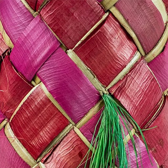 Pinata du Carnaval Nature du Zoo de Retour