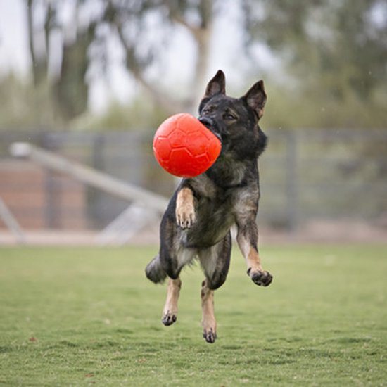 Jolly Pets Soccer Ball  -  Jouet pour chien  -  Jouet à rapporter durable  -  Jollyflex plastique trà¨s robuste  -  Jouet flottant pour chien  -  Pour grands chiens  -  à˜20cm - Orange