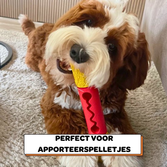 Bruin-witte hond ligt op een kleed en houdt een rood met geel speelgoedje vast. Tekst: 'Perfect voor apporteerspelletjes'.