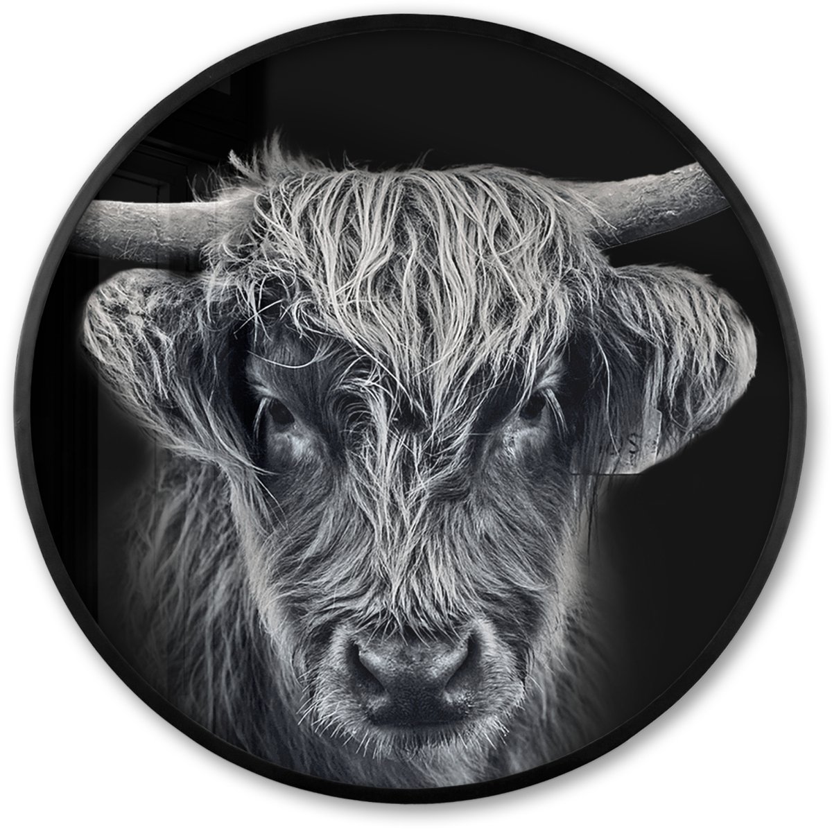 FrameYourWall Poster in lijst Rond - Fotolijst 80x80 cm - Posters - Schotse hooglander - Zwart - Koe - Dieren - Ronde posterlijst zwart - Decoratie - Wanddecoratie woonkamer - Muurdecoratie slaapkamer Schotse Hooglander - Close up