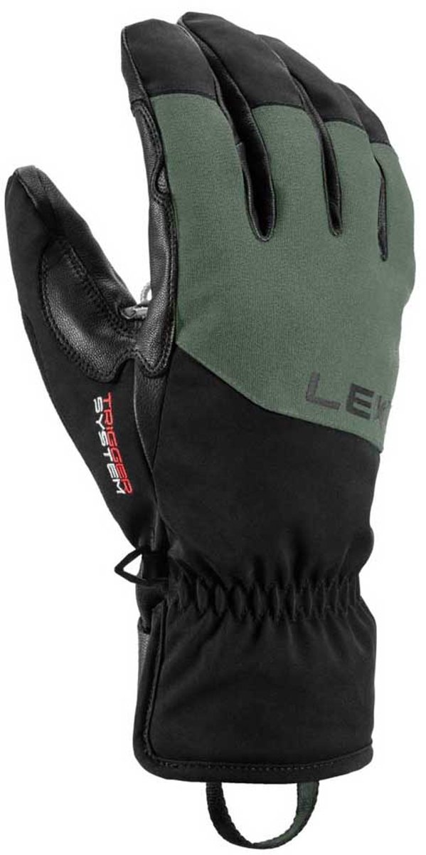 Leki Alpino Pegas 3d Gore-tex® Handschoenen 9.5 Man Zwart