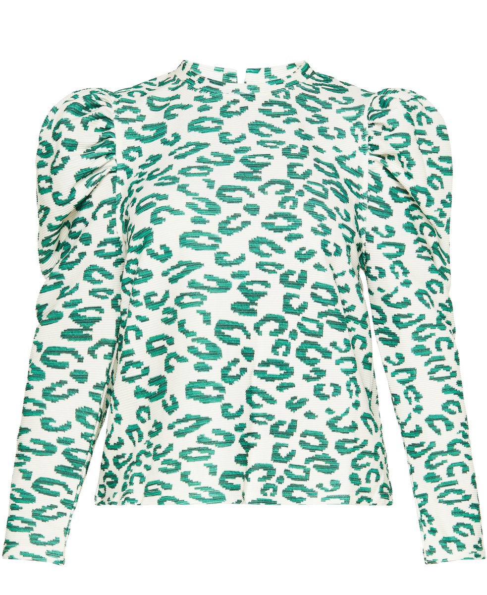 usha Blouse