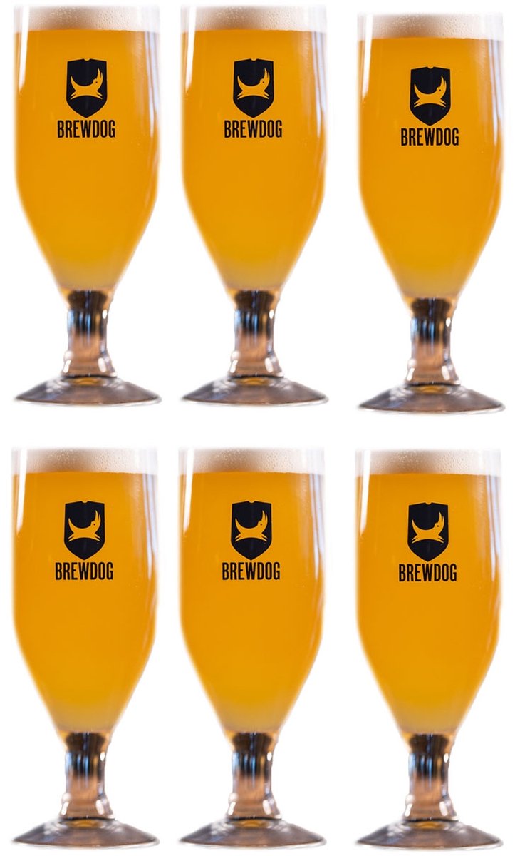 BrewDog Bierglas 30cl - Set van 6 Stuks - Elegante Bierglazen 6-Pack - Perfect voor Speciaalbier