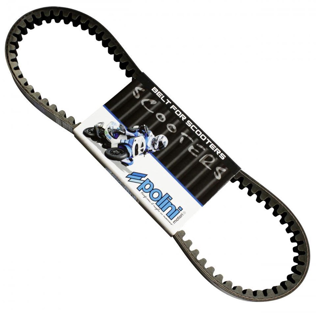 Courroie de transmission Polini pour Scooter Peugeot 50 TKR Avant 2020 Neuf
