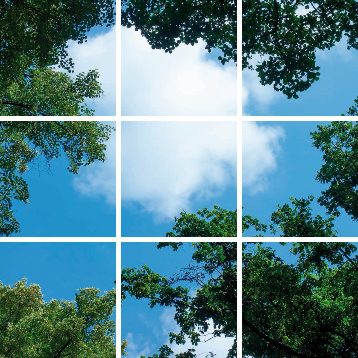 Wolkenplafond LED Paneel - Fotoprint Afbeelding Wolk en Bos - Geprint op 9 Platen - 595x595