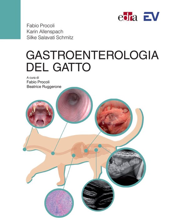 Gastroenterologia del gatto - cover