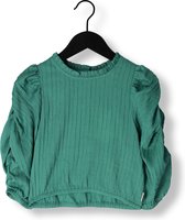 Ai&Ko Alika Pes 636 G Tops & T-shirts Meisjes - Shirt - Groen - Maat 152