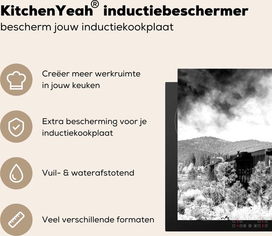 Een zwart-wit afbeelding van een stoomlocomotief die rook uitstoot, met tekst die de kenmerken van de inductiebeschermer uitlegt.
