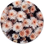 Label2X - Muurcirkel flower bomb - Ø 20 cm - Dibond - Multicolor - Wandcirkel - Rond Schilderij - Muurdecoratie Cirkel - Wandecoratie rond - Decoratie voor woonkamer of slaapkamer