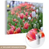 MuchoWow® Glasschilderij 150x100 cm - Schilderij acrylglas - Een close-up van rode en witte tulpen - Foto op glas - Schilderijen