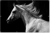 Muurdecoratie Paarden - Dieren - Portret - 180x120 cm - Tuinposter - Tuindoek - Buitenposter