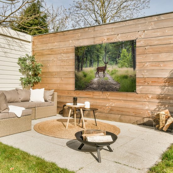 Affiche de jardin Forêt - Cerf - Arbres - 120x80 cm - Jardin