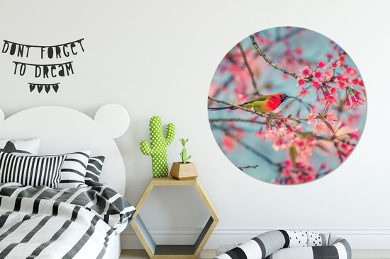 WallCircle - Wall Circle - Wall Circle Indoor - Vogel - Sakura - Couleurs - 150x150 cm - Décoration murale - Peintures Ronds