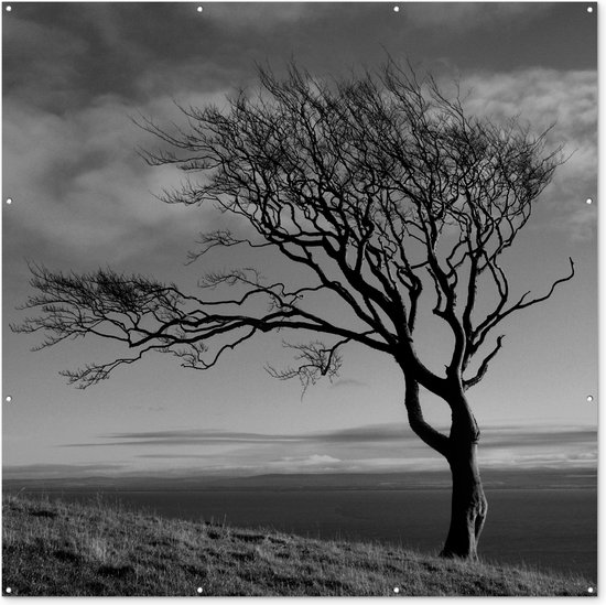 Tuin poster Winterfoto beukenboom zwart-wit - 200x200 cm - Tuindoek - Buitenposter