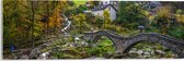 Acrylglas - Bomen - Huizen - Brug - Water - Waterval - Planten - Landschap - 60x20 cm Foto op Acrylglas (Met Ophangsysteem)