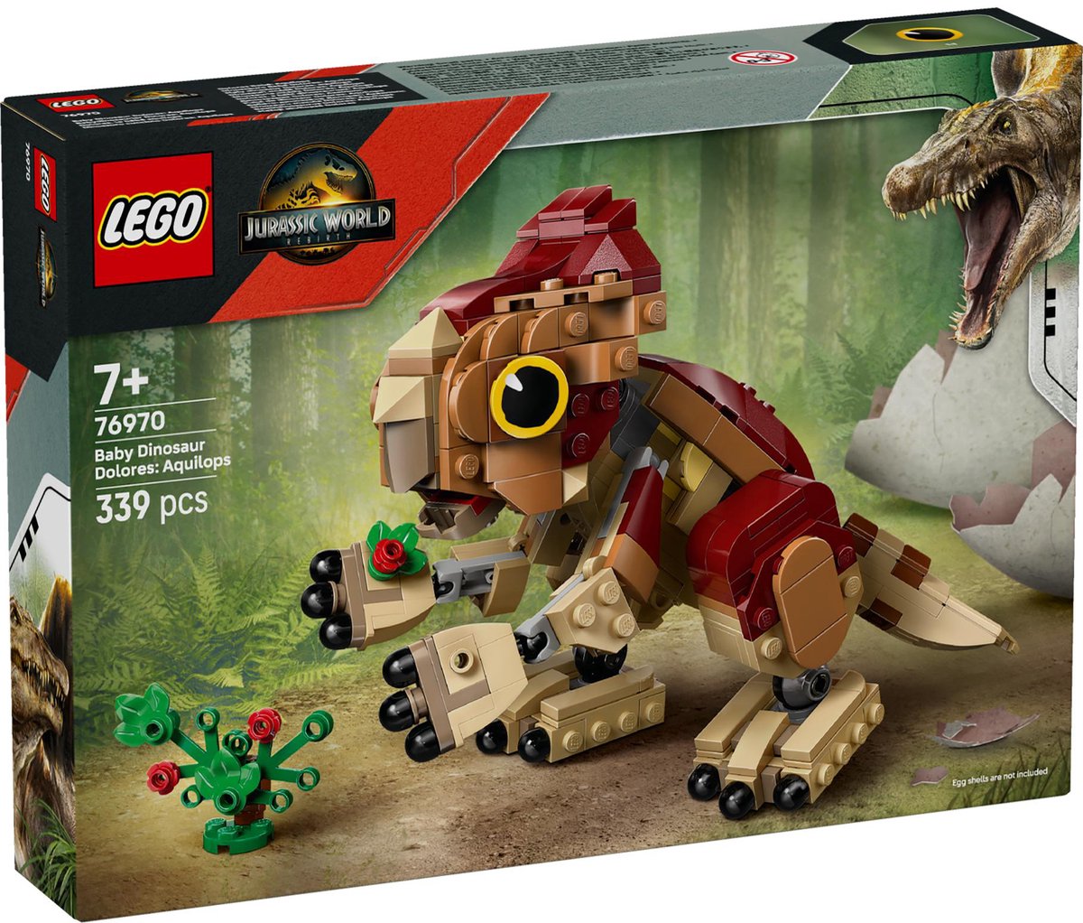 Babydinosaurus Dolores: Aquilops