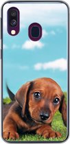 Coque Samsung Galaxy A40 - ciel au-dessus d'un mignon chiot teckel - Siliconen - Sinterklaas - Noël - Cadeaux - Cadeaux de chaussures