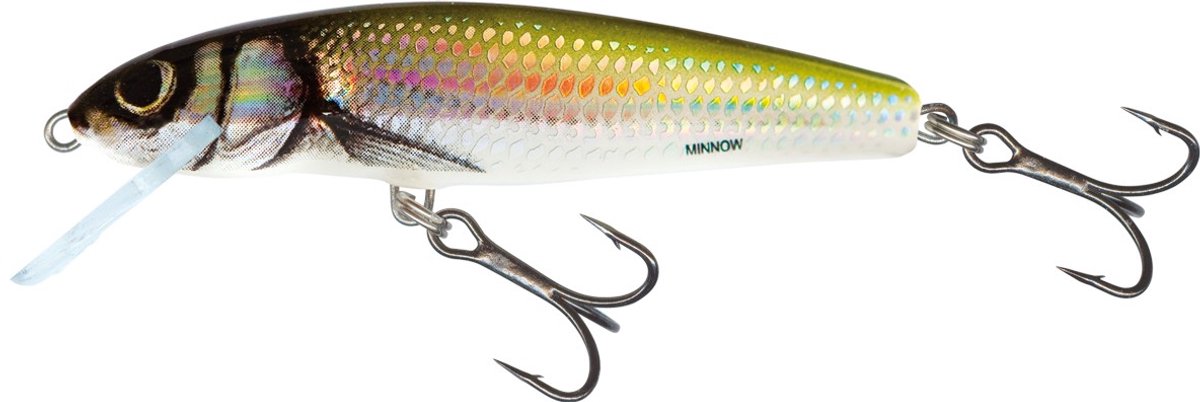 Salmo Floating Minnow 6cm - 4g (diepte: 0.5-1m)