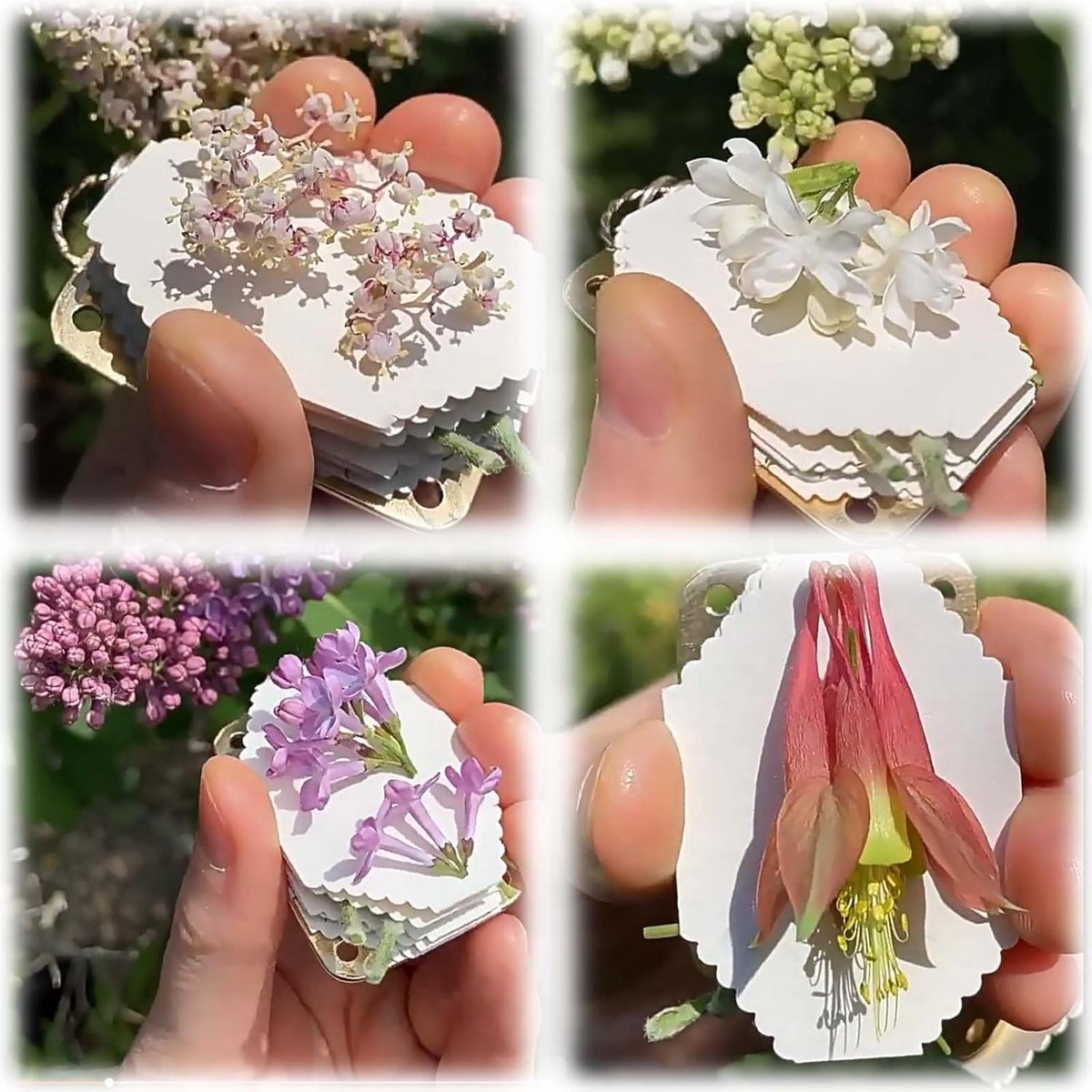 Workshop Bloemenlijstjes Maken met Gedroogde Bloemen - Woensdag 1 april
