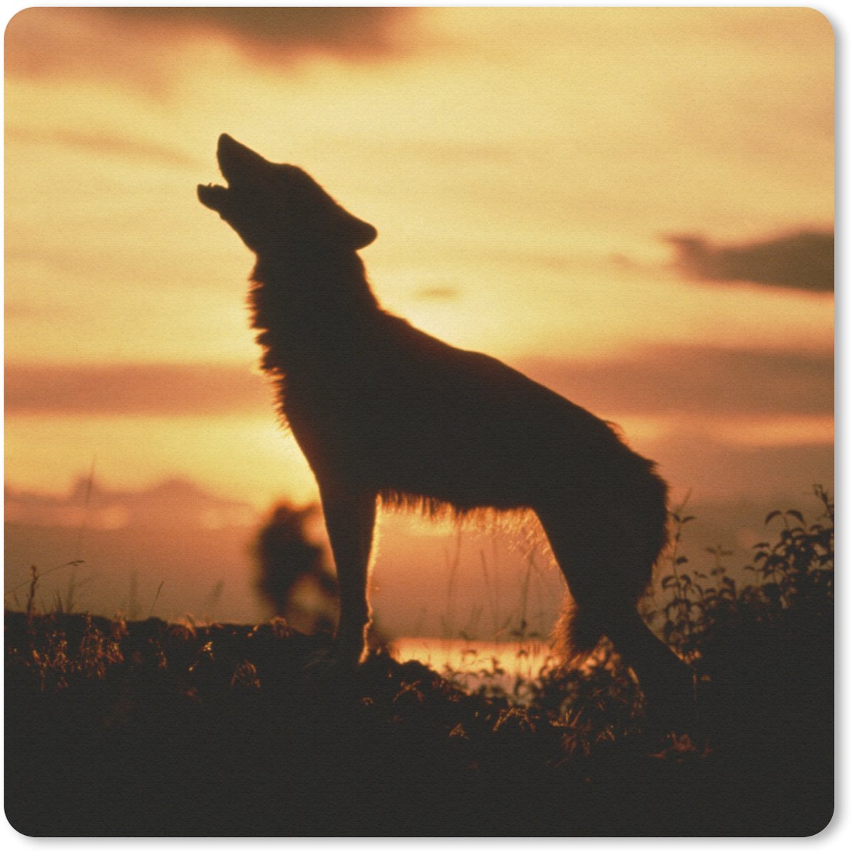 Muismat 30x30 cm - Mousepad Wolf - Zon - Silhouet - Muismatten