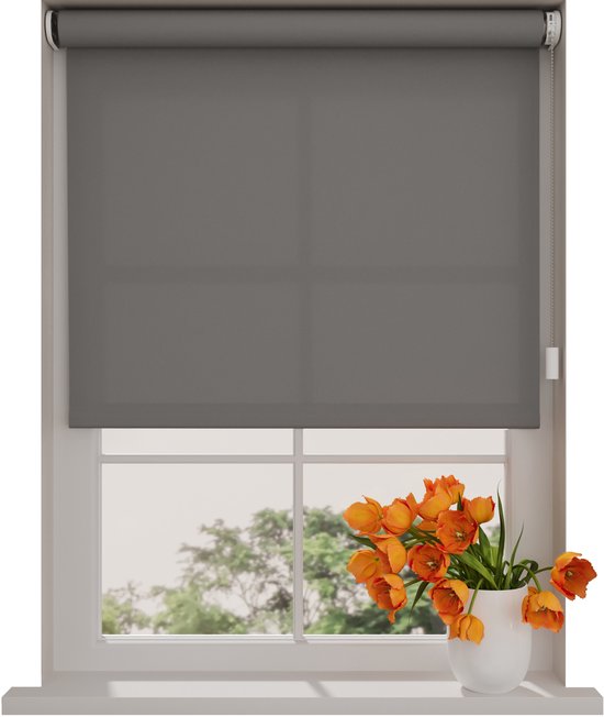 Store enrouleur électrique Easy Translucide - Gris - 180 x 190 cm - CMD-03