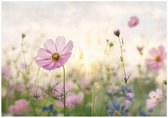 WALLARENA - Fotobehang - 350x250 cm - bloemen, natuur, slaapkamer, woonkamer, vliesbehang