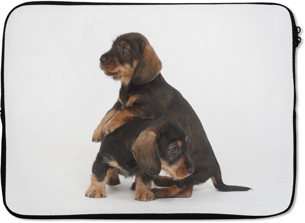 Laptophoes 14 inch - Studio foto van twee lieve Teckels - Laptop sleeve - Binnenmaat 33x23 cm - Zwarte achterkant