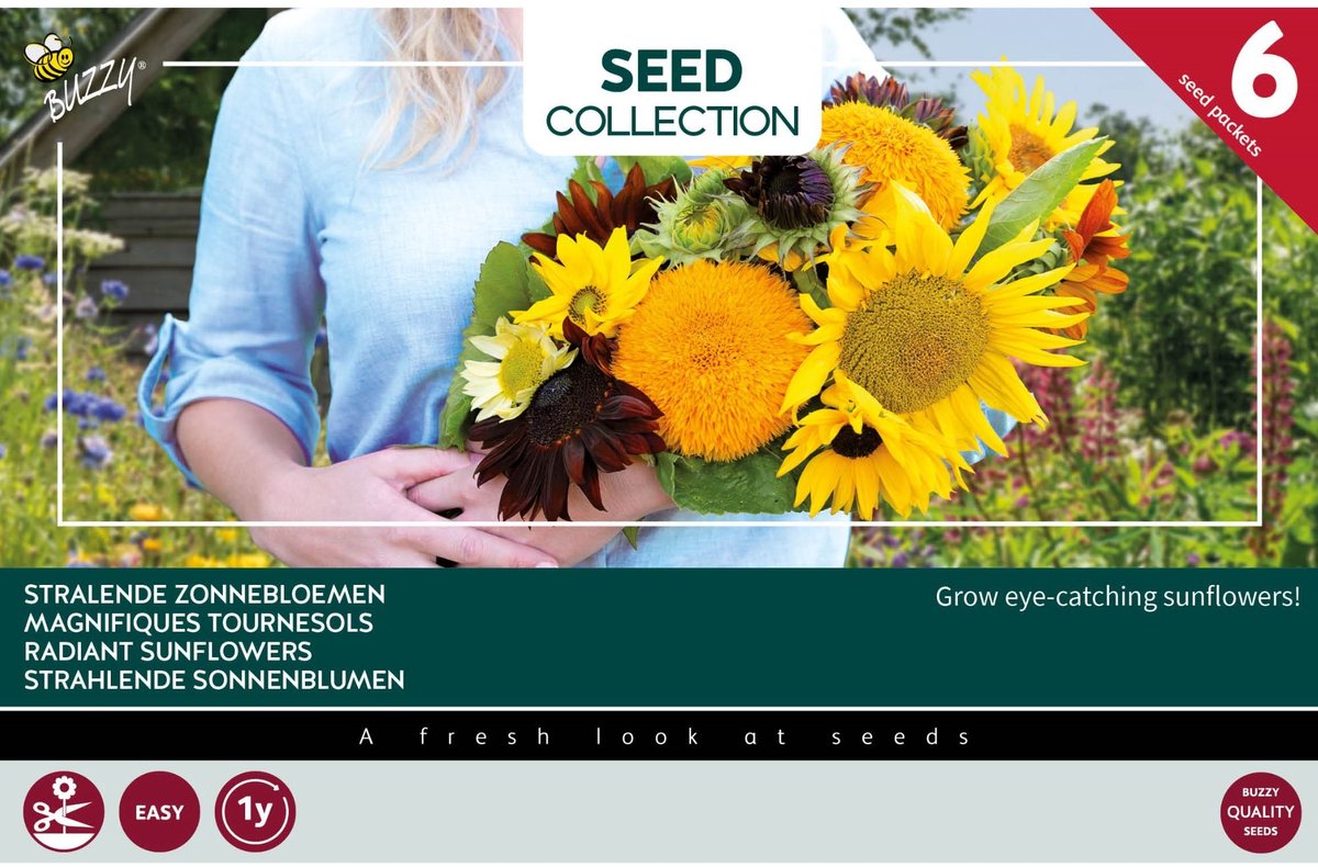 Buzzy Collection Kweekset 6 Stralende Zonnebloemen 1 set