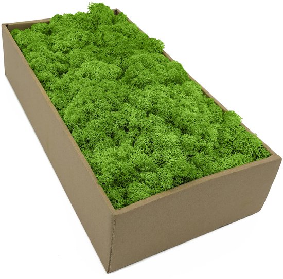 Rendiermos wit naturel voor moswand - 500 gram kopen