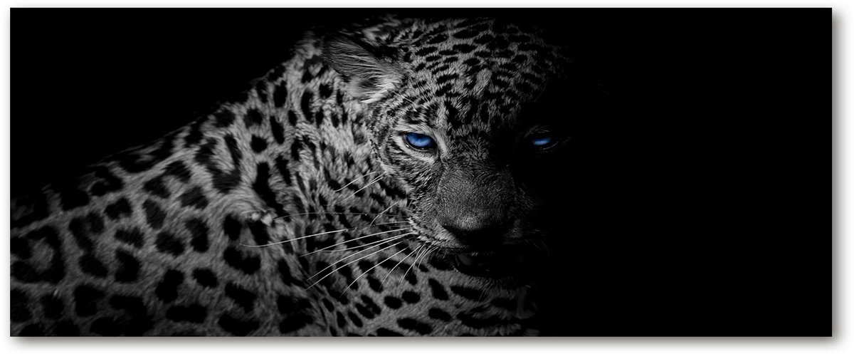 Tulup Glasschilderij - Glas Schilderij Luipaard - 125 cm x 50 cm - Schwarz Foto In Glas - Foto Op Glas - Vintage Glasdecoratie - Glas Foto - Glasdecoratie voor de Hal