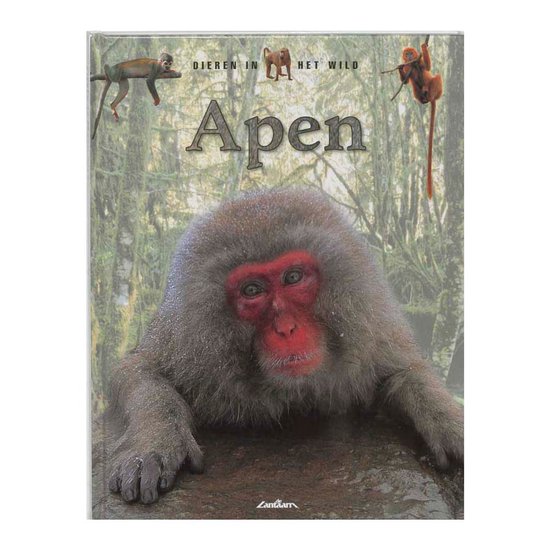 Dieren in het wild - Apen