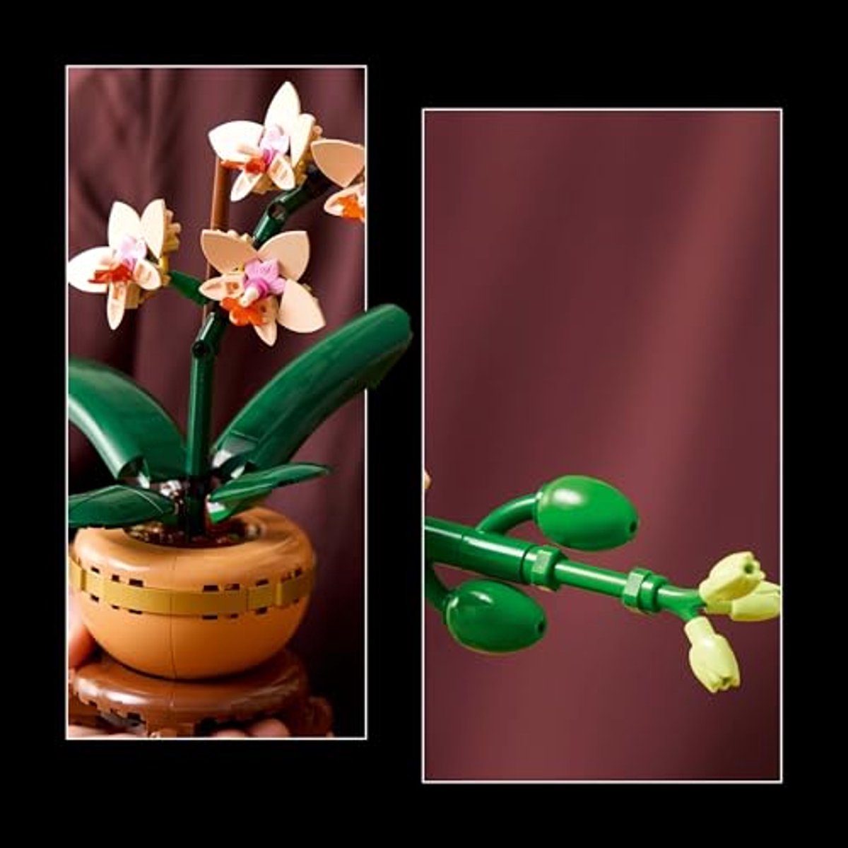 LEGO Botanicals Mini orchidee - 10343 — afbeelding 21