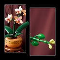 Links: LEGO orchidee in een pot. Rechts: groene knoppen van een orchideetak.