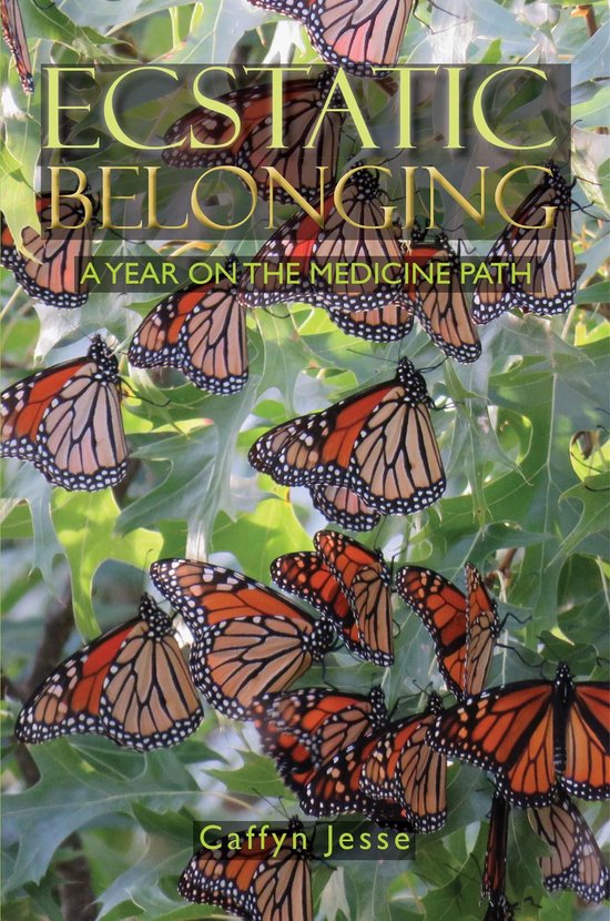 Ecstatic Belonging - cover