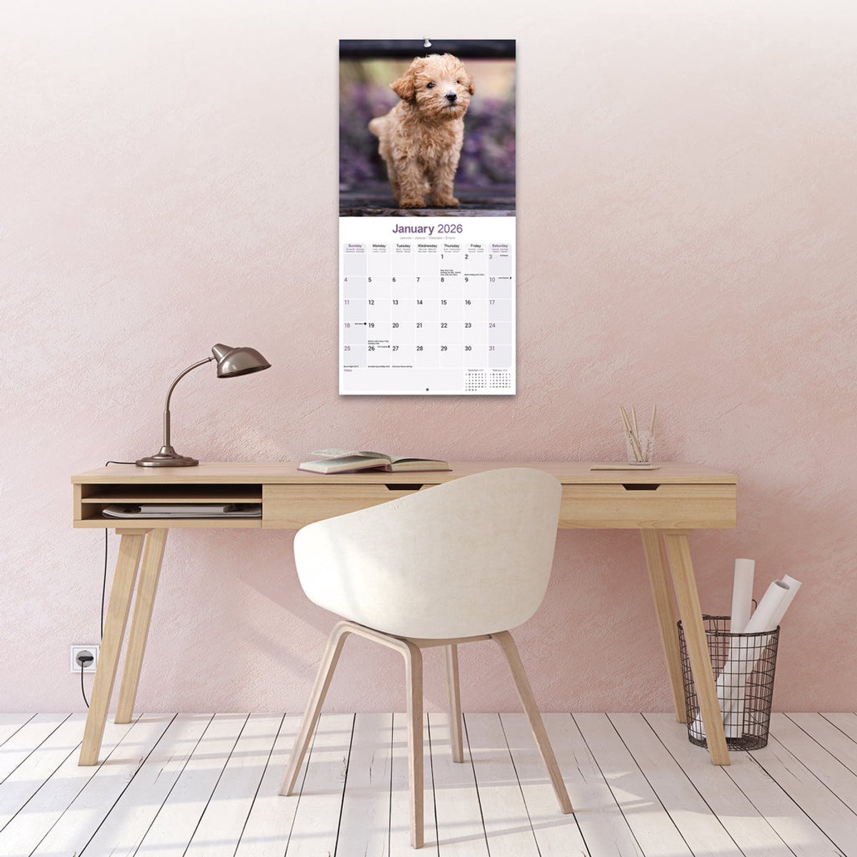 Poedel Toy en Miniatuur Kalender 2026