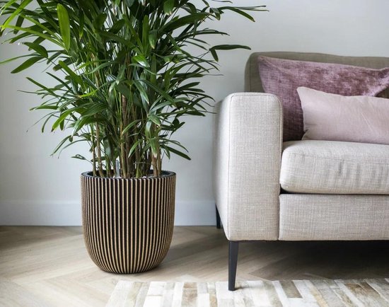 Capi Europe - Bloempot bol Groove NL - 35x34 - Goud - Opening Ø29 - Bloempot voor binnen en buiten - Levenslang garantie - Breukbestendig - 100% Recyclebaar - CO2 Neutraal geproduceerd - KGVGB932