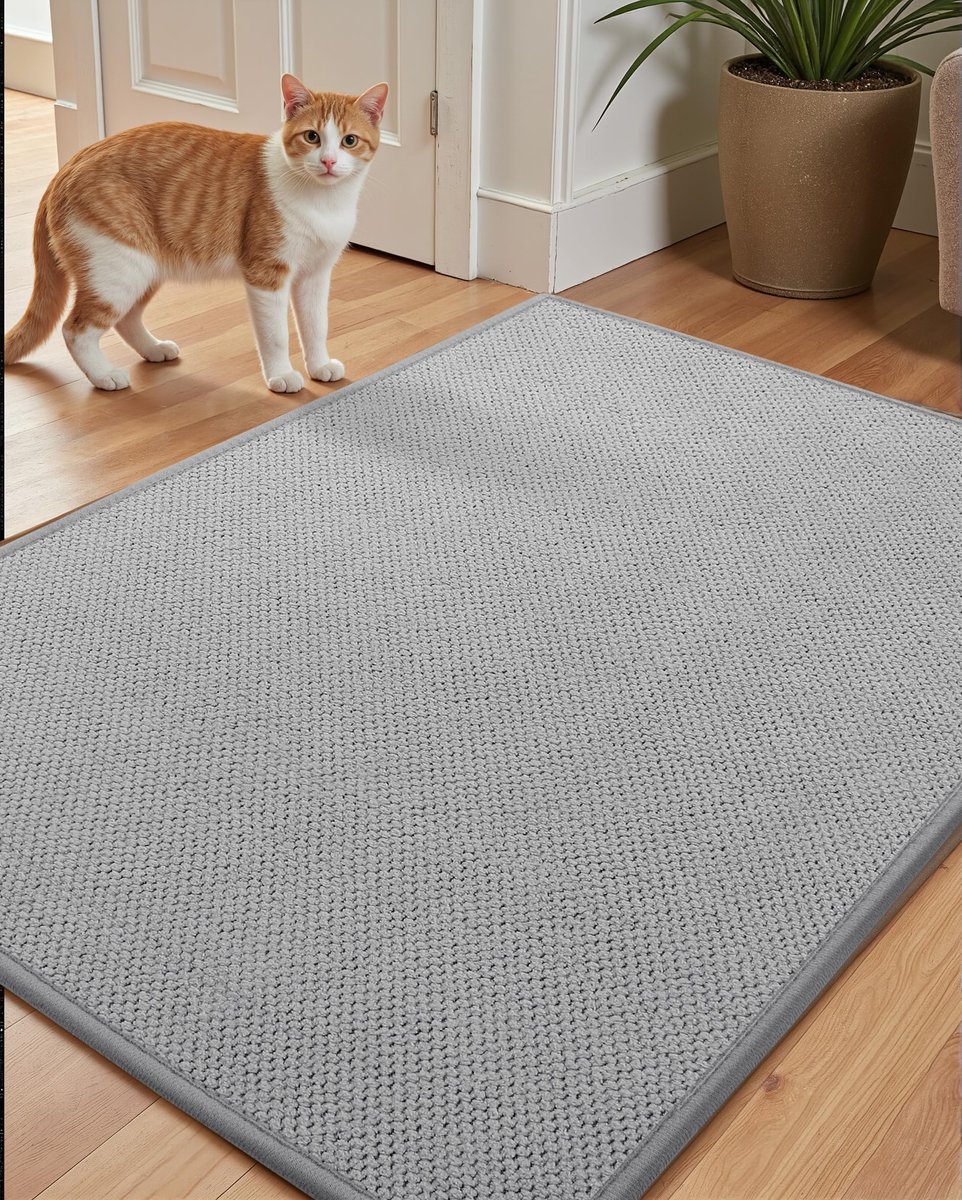 Ibenzoa Antislip en Wasbare Deurmat voor Binnengebruik met Uitstekende Vocht- en Vuilabsorptie, 61 x 92 cm, Lichtgrijs