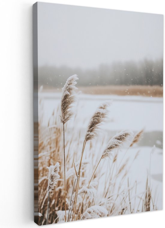 Tableau jardin extérieur 60x90 cm - Décoration de jardin Roseau - Lac - Hiver - Nature - Neige - Beige - Poster jardin sur toile - Décoration murale Jardin - Décoration tableau extérieur - Décoration murale clôture - Toile extérieur