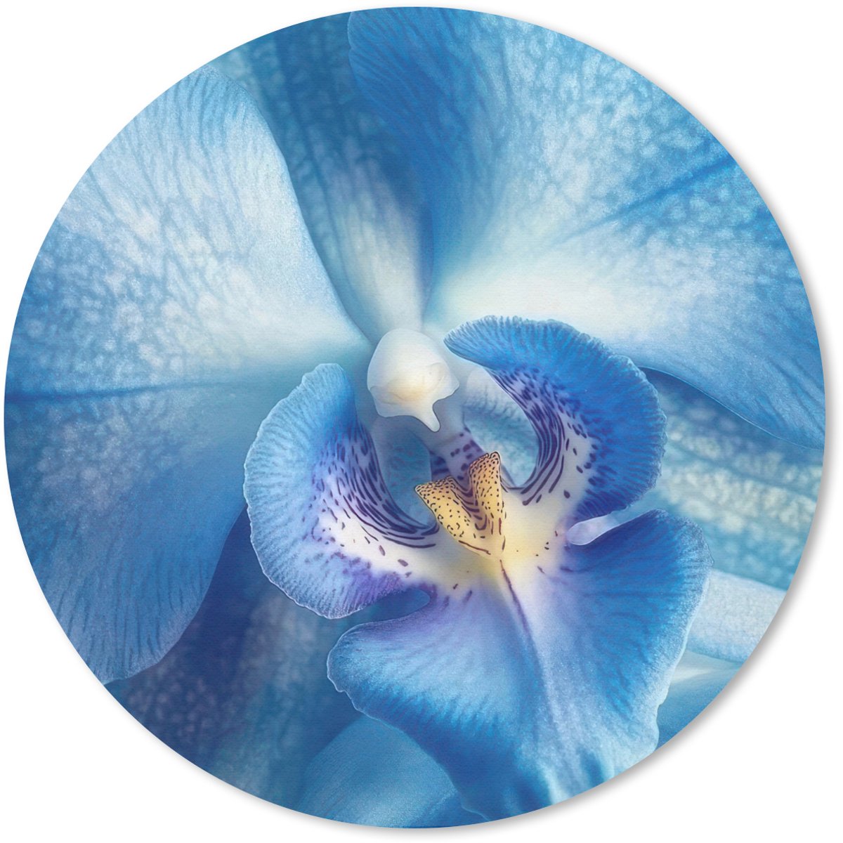 Muismat rond 30x30 cm - Mousepad Blauw - Orchidee - Elegeant - Ronde muismatten