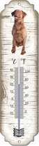 Thermometer: Chesapeake Bay Retriever | Hondenras | Temperatuur binnen en buiten | -25 tot +45C