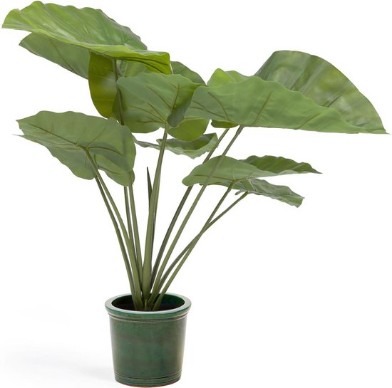 Kave Home - Kunstmatige Alocasia Odora met zwarte plantenpot 57 cm
