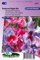 Sluis Garden - Reukerwt Ripple Formula mix (Lathyrus)
