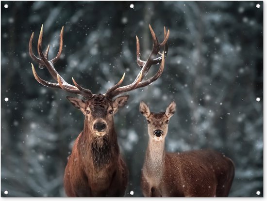 Foto: Tuinposter tuindoek tuinposters buiten hert dieren winter gewei sneeuw natuur 120x90 cm tuin