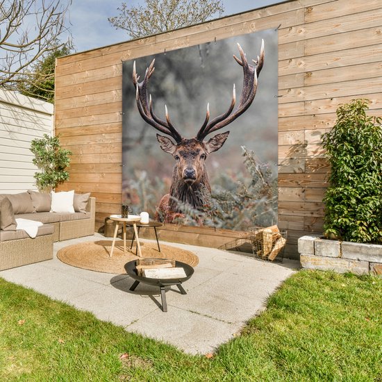 Affiche de Jardin Cerf - Nature - Automne - Animaux de la forêt - 200x200 cm - Toile de jardin - Affiche d'extérieur